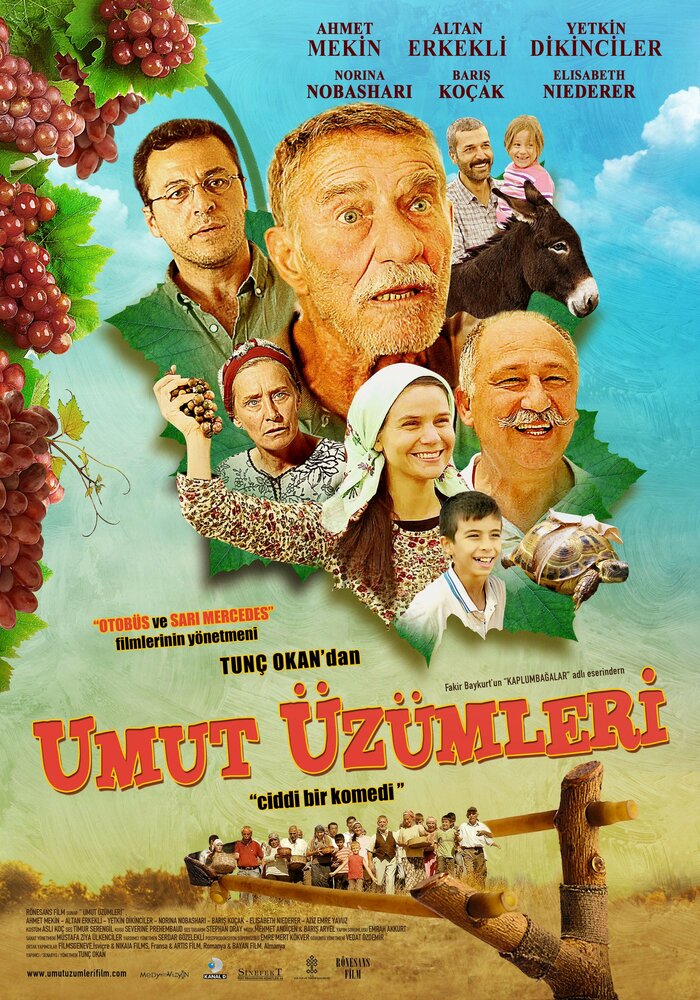 Umut üzümleri (2013) постер