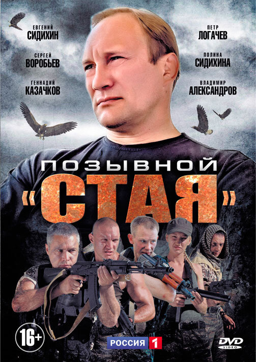 Позывной «Стая» (2013) постер