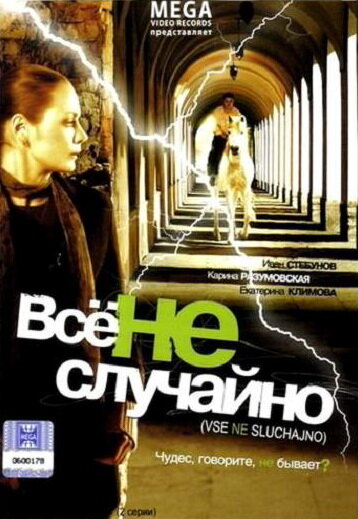 Все не случайно (2009) постер